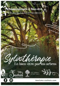 Sylvothérapie : le bien-être par les arbres