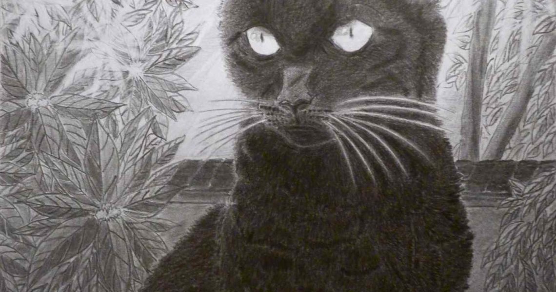Portrait – En hommage à notre chat