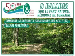 Balade Forestière (Haraucourt-sur-Seille 57)