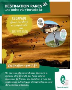 Escapade Grues cendrées au crépuscule avec Lor’Evasion